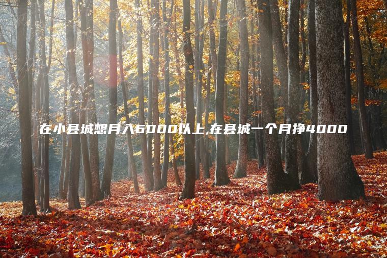 在小县城想月入6000以上 在县城一个月挣4000