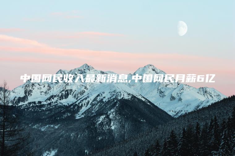中国网民收入最新** 中国网民月薪6亿