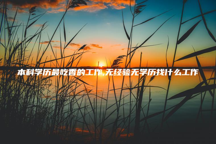 本科学历最吃香的工作 无经验无学历找什么工作