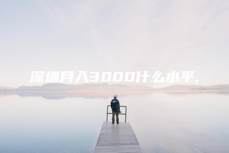 深圳月入3000什么水平 