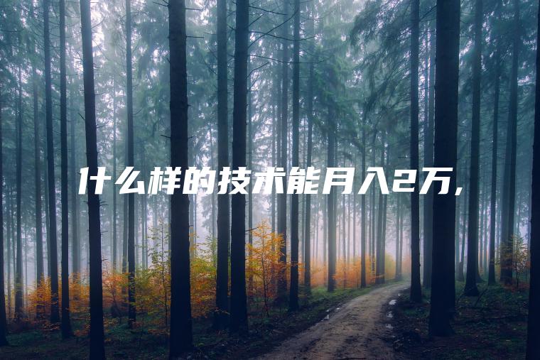 什么样的技术能月入2万 