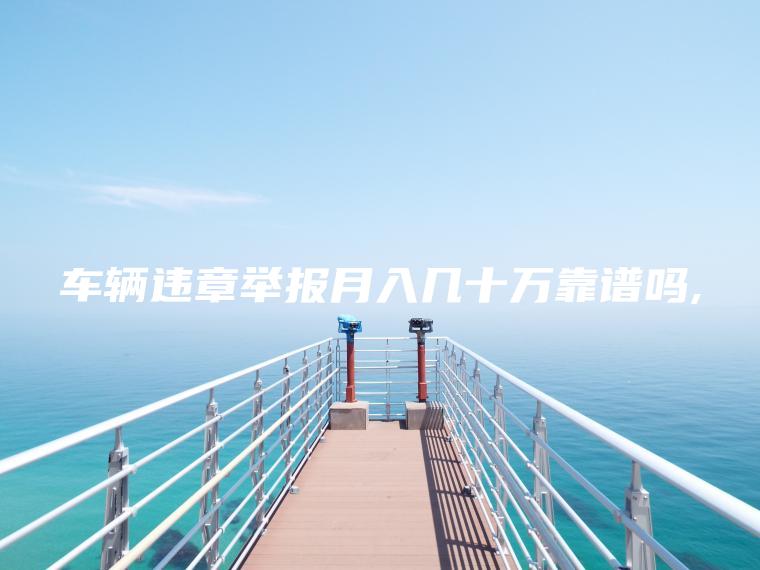 车辆违章举报月入几十万靠谱吗