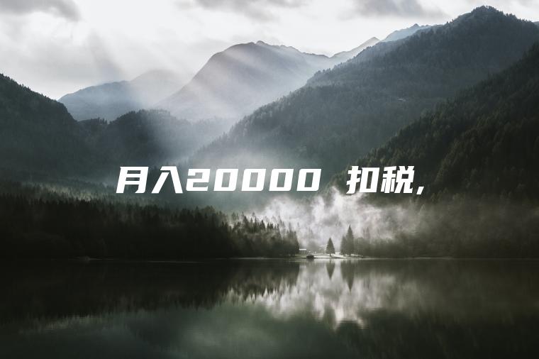 月入20000 扣税,