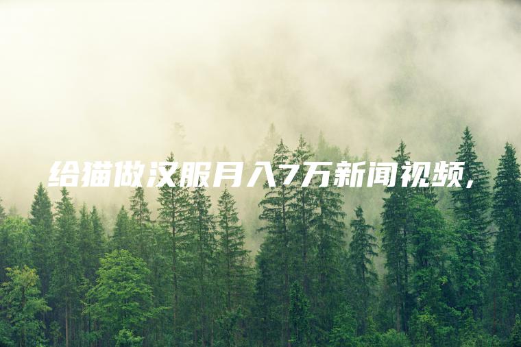 给猫做汉服月入7万新闻视频,